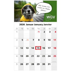 1-Monatskalender Solo 1 Bestseller (Einblatt)