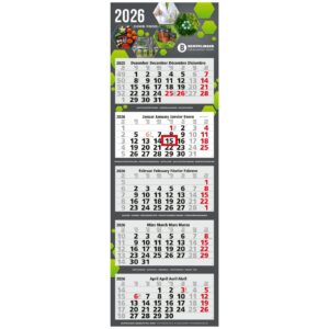 5-Monatskalender Penta Light 5 Bestseller (Mehrblock)