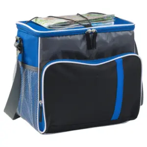 Kühltasche aus Polyester Ravi