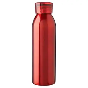 Einwandige Edelstahl-Trinkflasche 650 ml Cindy