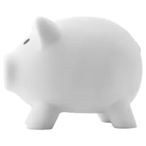 Sparschwein aus Kunststoff Roger