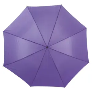 Automatik Stockschirm aus Polyester Andy