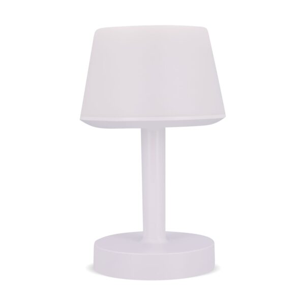 LT40715 N0001 2