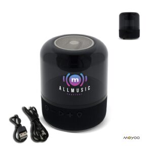 SP101 | Moyoo Smokey Dome speaker