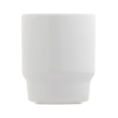 LT51301 N0001 2