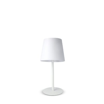 LT91102 N0001 2