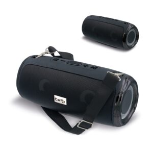 Large speaker with shoulder strap 20W