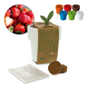 Hot-but-cool Tasse mit Erdbeersamen